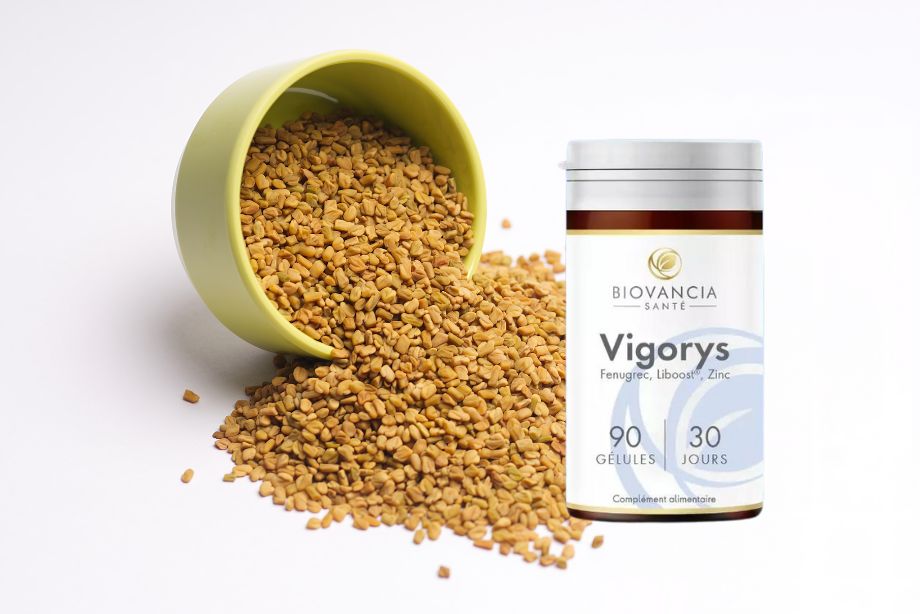 Quels sont les ingrédients de Vigorys ?